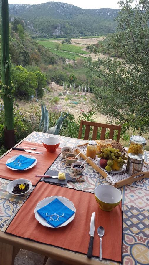 Bed and Breakfast La Loubiere, Ancienne Bergerie En Pleine Garrigue Fraissé-des-Corbières Zewnętrze zdjęcie